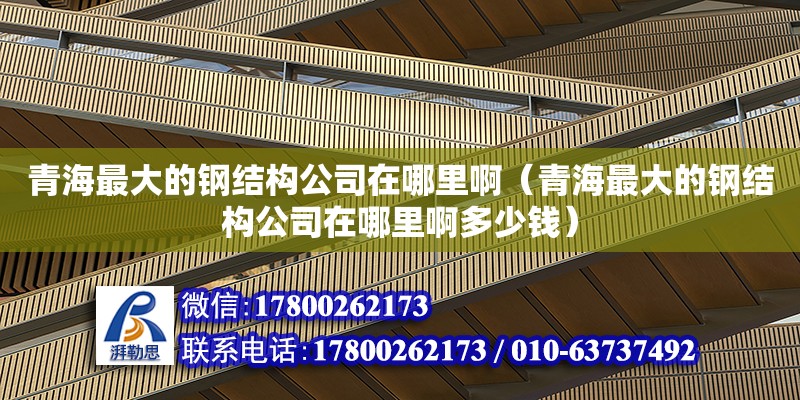 青海最大的鋼結構公司在哪里?。ㄇ嗪Ｗ畲蟮匿摻Y構公司在哪里啊多少錢）