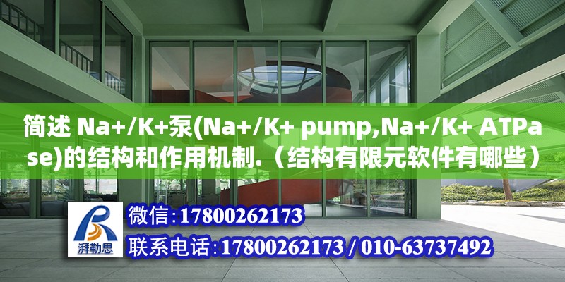 簡述 Na+/K+泵(Na+/K+ pump,Na+/K+ ATPase)的結構和作用機制.（結構有限元軟件有哪些）