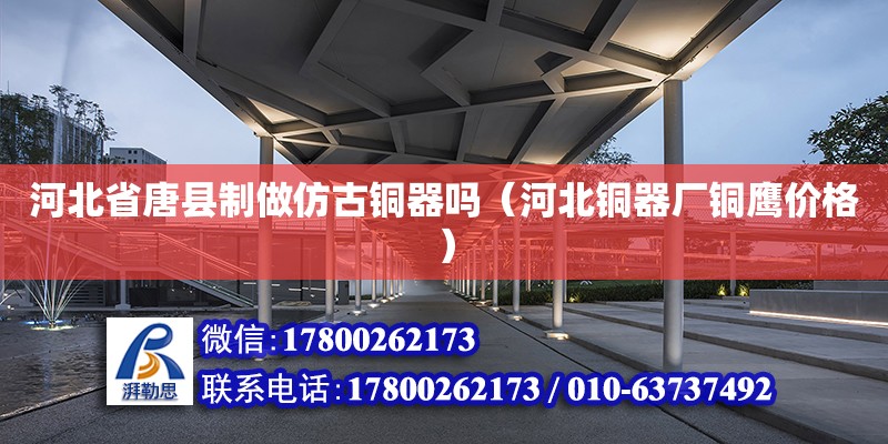 河北省唐縣制做仿古銅器嗎（河北銅器廠銅鷹價格） 北京加固設計