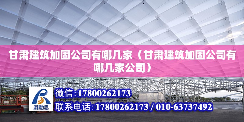 甘肅建筑加固公司有哪幾家（甘肅建筑加固公司有哪幾家公司）