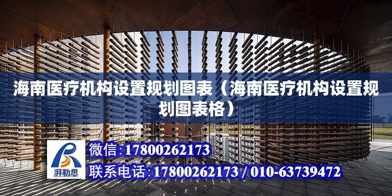 海南醫療機構設置規劃圖表（海南醫療機構設置規劃圖表格）