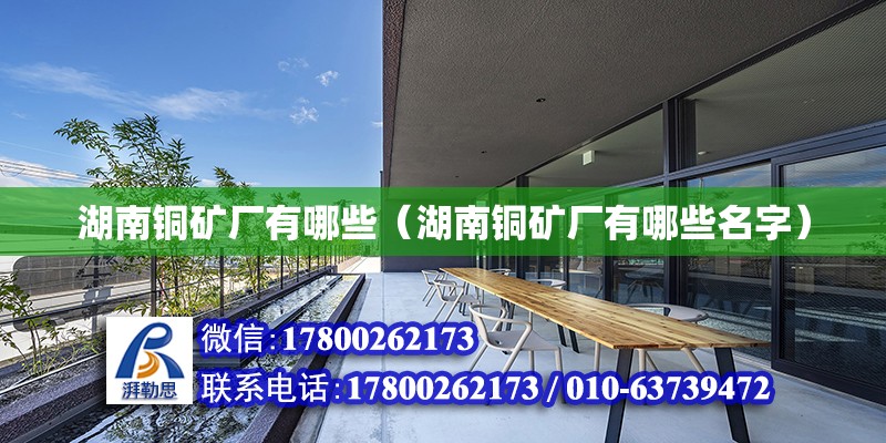 湖南銅礦廠有哪些（湖南銅礦廠有哪些名字）