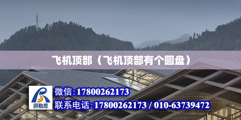 飛機頂部（飛機頂部有個圓盤） 鋼結構網架設計