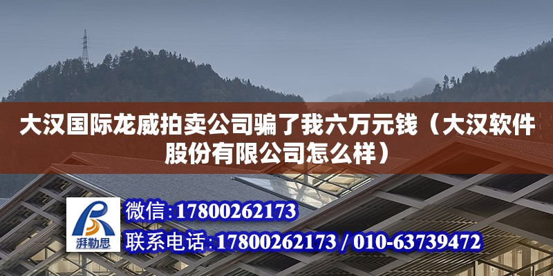 大漢國際龍威拍賣公司騙了我六萬元錢（大漢軟件股份有限公司怎么樣） 鋼結構網架設計