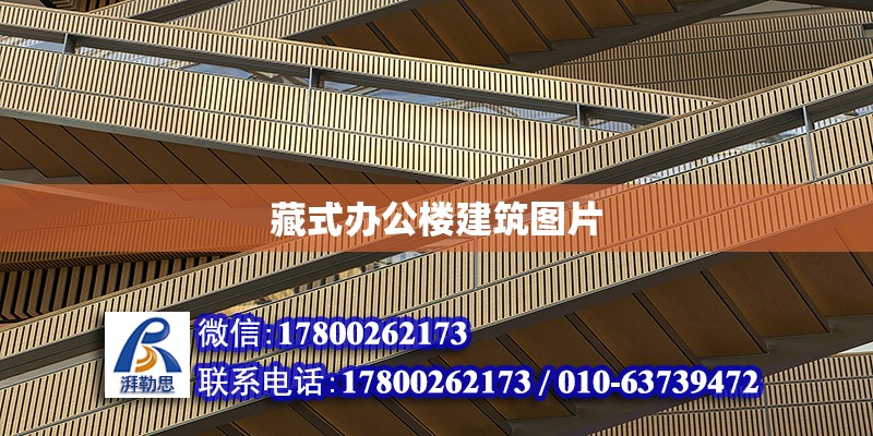 藏式辦公樓建筑圖片