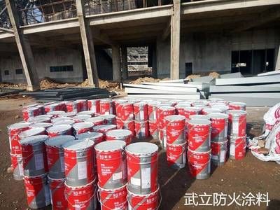 鋼結構防火涂料一平米多少公斤 建筑效果圖設計 第4張