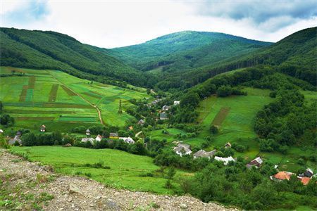 農村樓板房怎么加固（農村房屋抗震加固技巧樓板房加固成本預算指南）