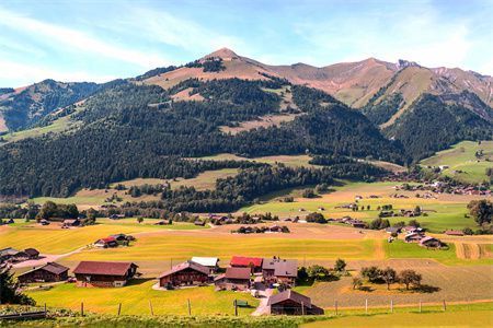 農村樓板房怎么加固（農村房屋抗震加固技巧樓板房加固成本預算指南）