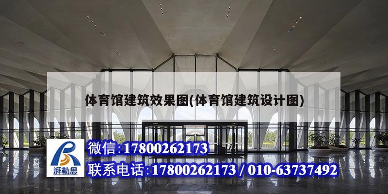 體育館建筑效果圖(體育館建筑設計圖) 結構機械鋼結構設計